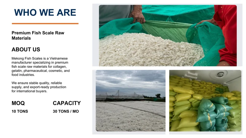 About our company