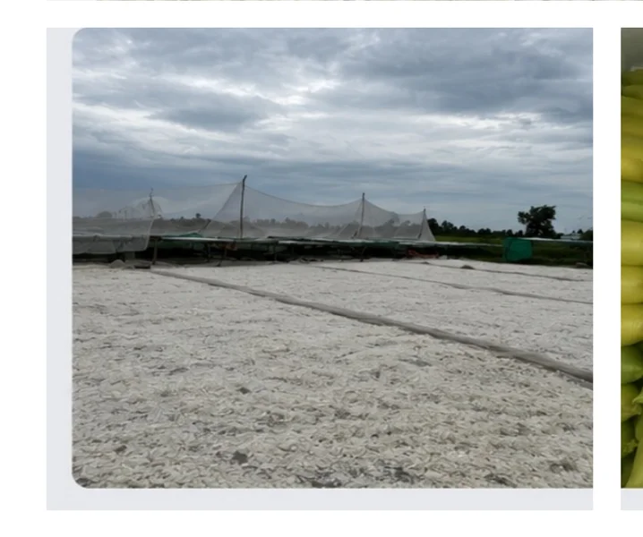 Open-air drying yard