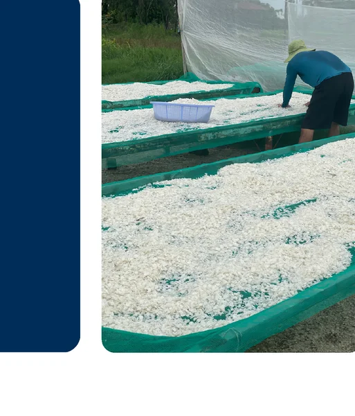 Drying process