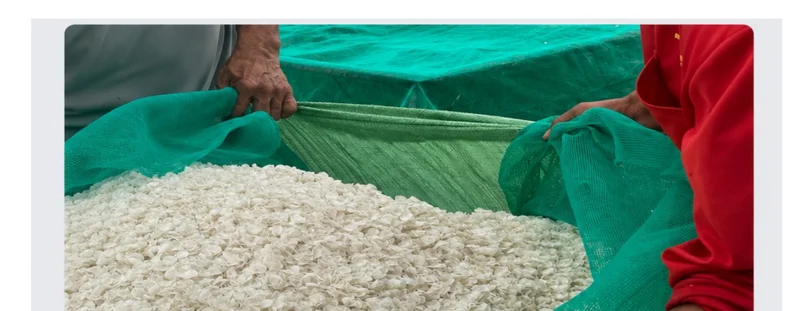 Premium fish scale raw materials